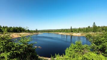 A calm lake surrounded by dense forest and clear blue sky.