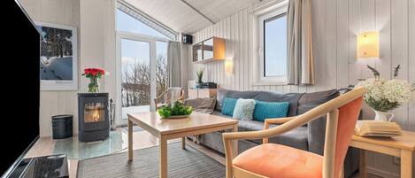 TV, fireplace, DVD player, stereo