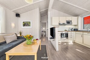 TV, fireplace, DVD player, stereo