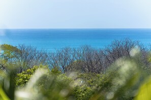 A coastal landscape with dense vegetation in the foreground and a clear view of the ocean. - Sea View Paradise Retreat by Sea N' Rent (Cóbano)