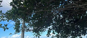 Sea view apartment with private access to the beach.