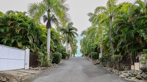 Une route asphaltée bordée de palmiers luxuriants et d’une clôture blanche d’un côté.