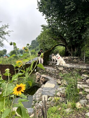 Garden - Geeli Mitti (Nainital)