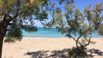 Una spiaggia con acqua cristallina, una riva sabbiosa e un albero che offre ombra.