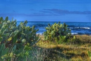 Playa