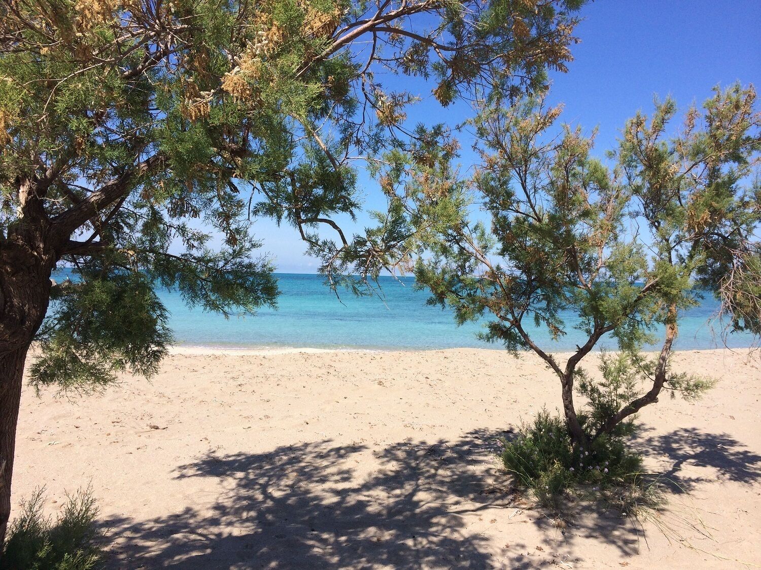 Playa