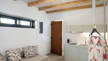 Um interior moderno com teto de madeira, sofá com almofadas estampadas, área de cozinha com pia e armários, e uma porta que dá para outro quarto.