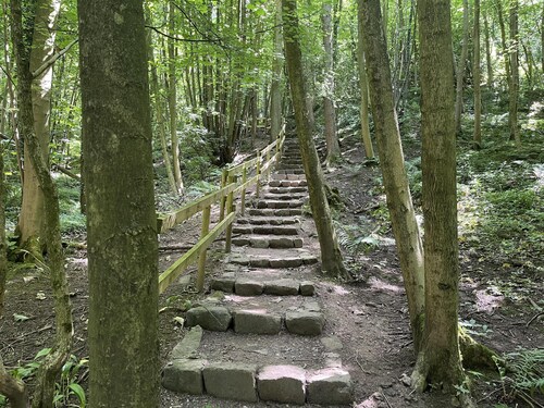 Tranquil Knaresborough Lodge Retreat