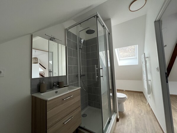 Shower, hair dryer, towels