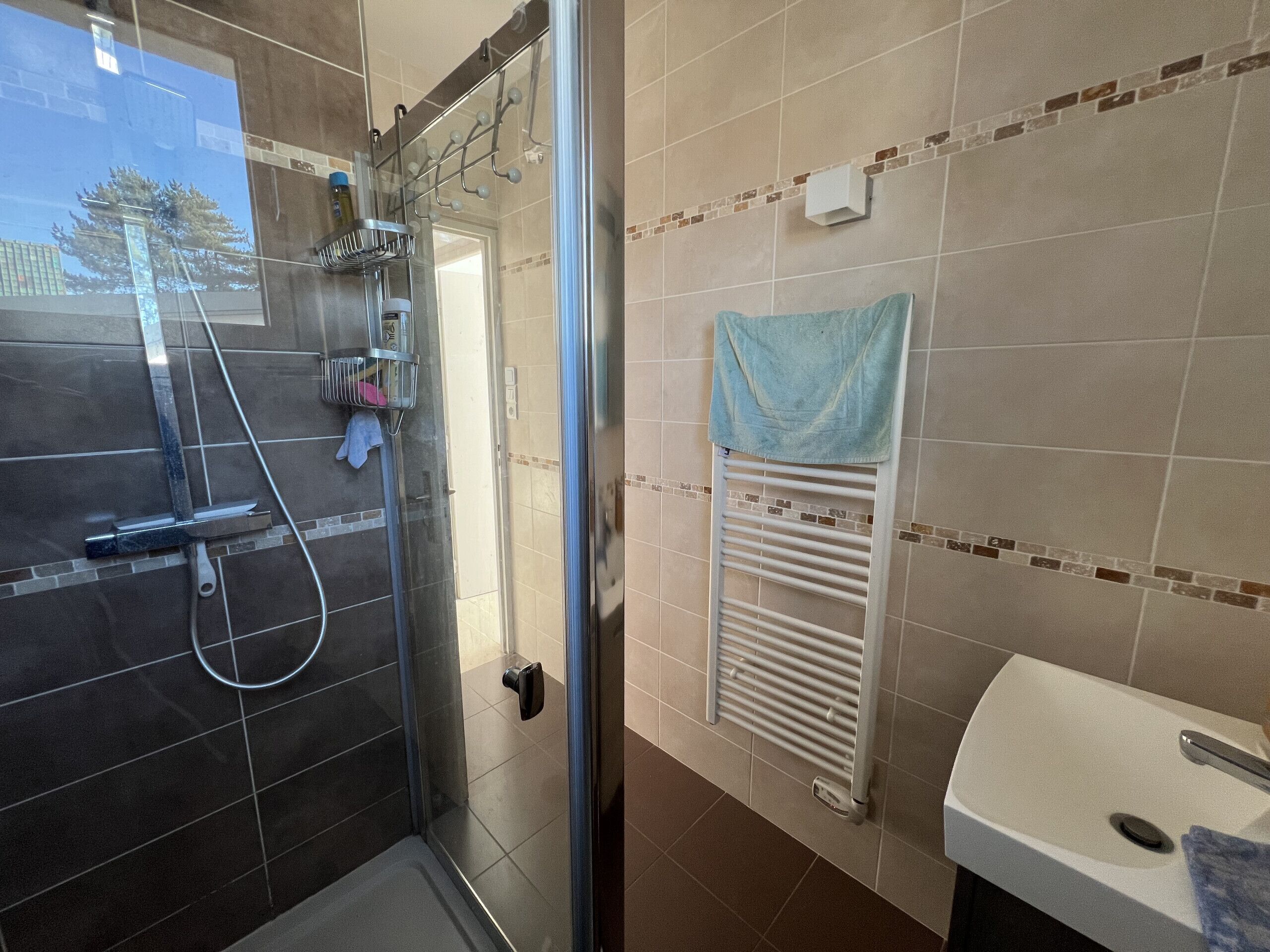 Une salle de bain avec une douche à parois de verre, un lavabo blanc et un porte-serviettes.