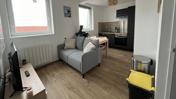 A modern apartment with a grey sofa, wooden flooring, a kitchen with stainless steel appliances, and large windows.