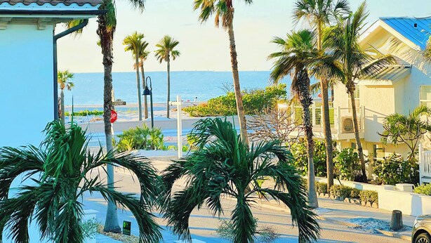 A beachfront property with palm trees, a stop sign, and a view of the ocean.