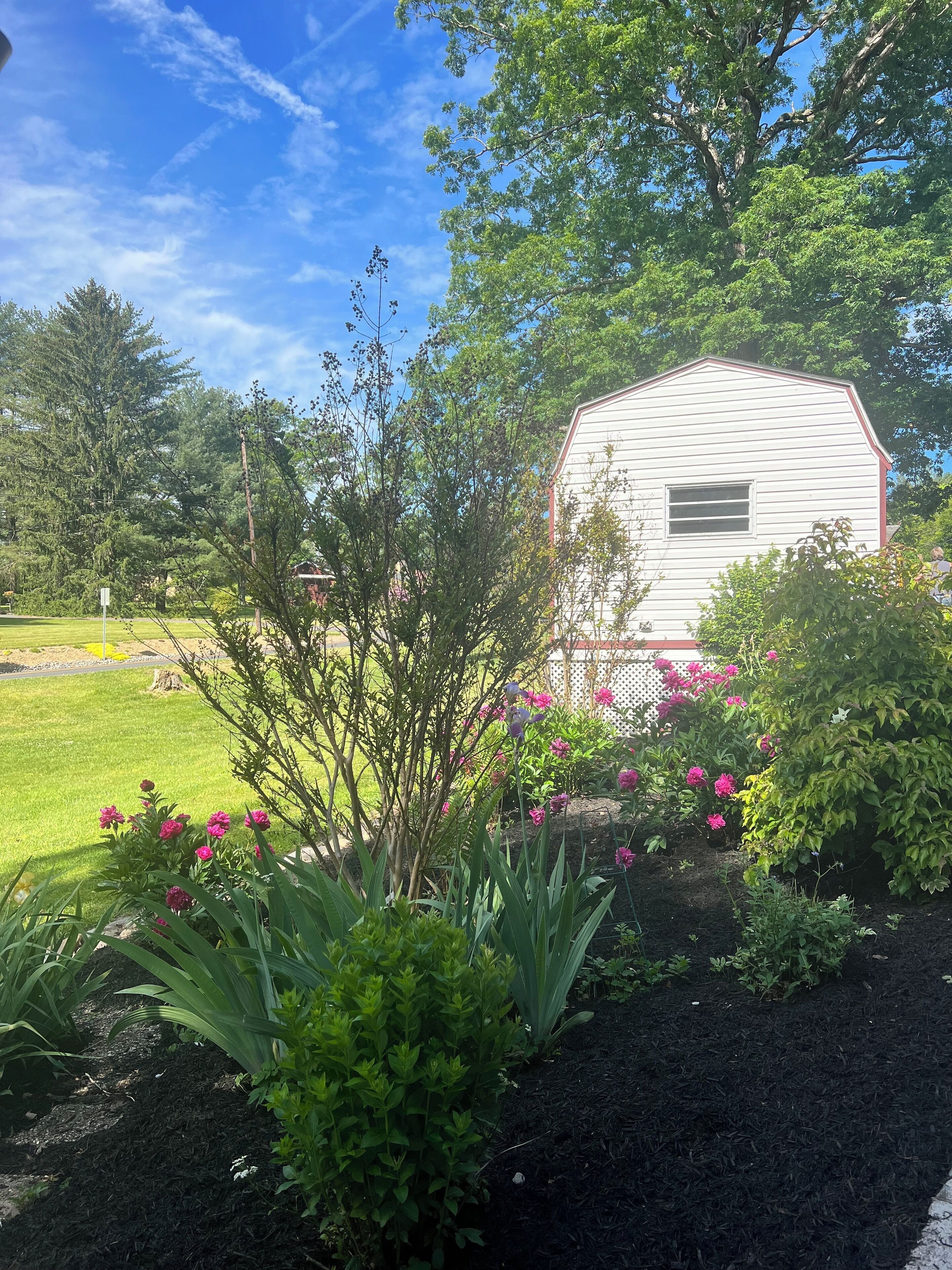 A white building with a red trim, surrounded by a garden with pink flowers and green plants.