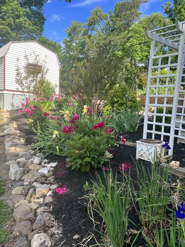 Cozy Cottage 2 bedroom house one and half bathrooms Cumberland, Md with AC, WiFi