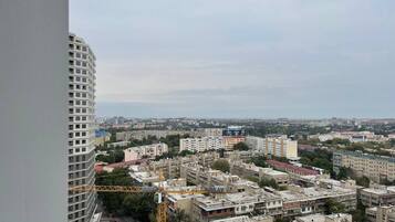 Family Apartment, City View | View from room