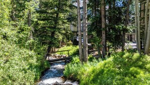 Un cadre naturel avec un ruisseau, une végétation luxuriante et un pont en bois.