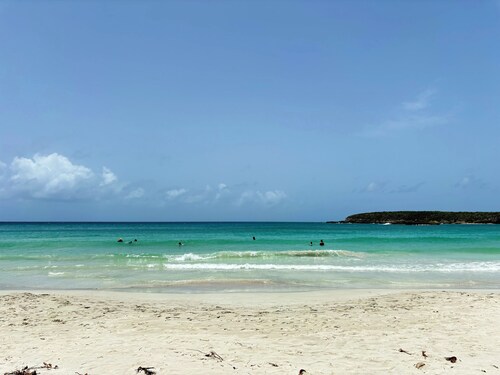 Relaxing oasis w/ pool, nature walks, calm vibes