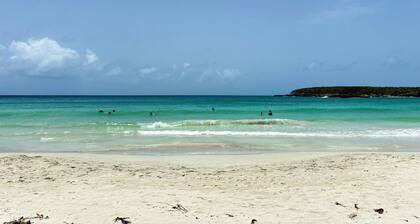 Relaxing oasis w/ pool, nature walks, calm vibes