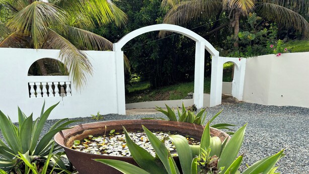 A garden with a white wall, a metal gate, and various plants including agave and palm trees. - Private Retreat w/ Pool, Stunning Views & Wildlife (Vieques)