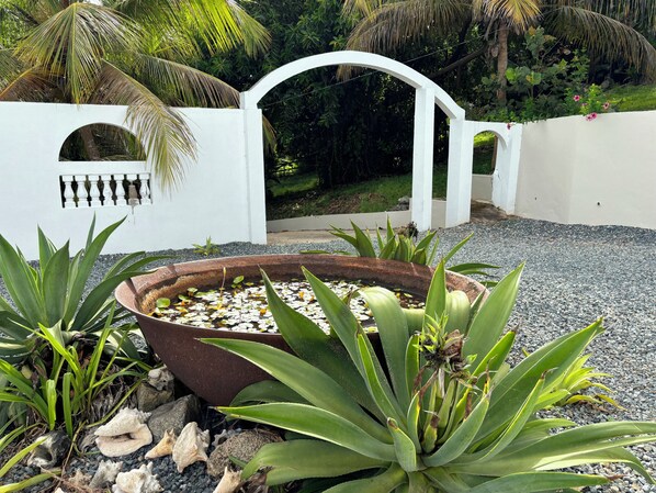 Een tuin met een witte muur, een metalen hek en diverse planten, waaronder agave en palmbomen.