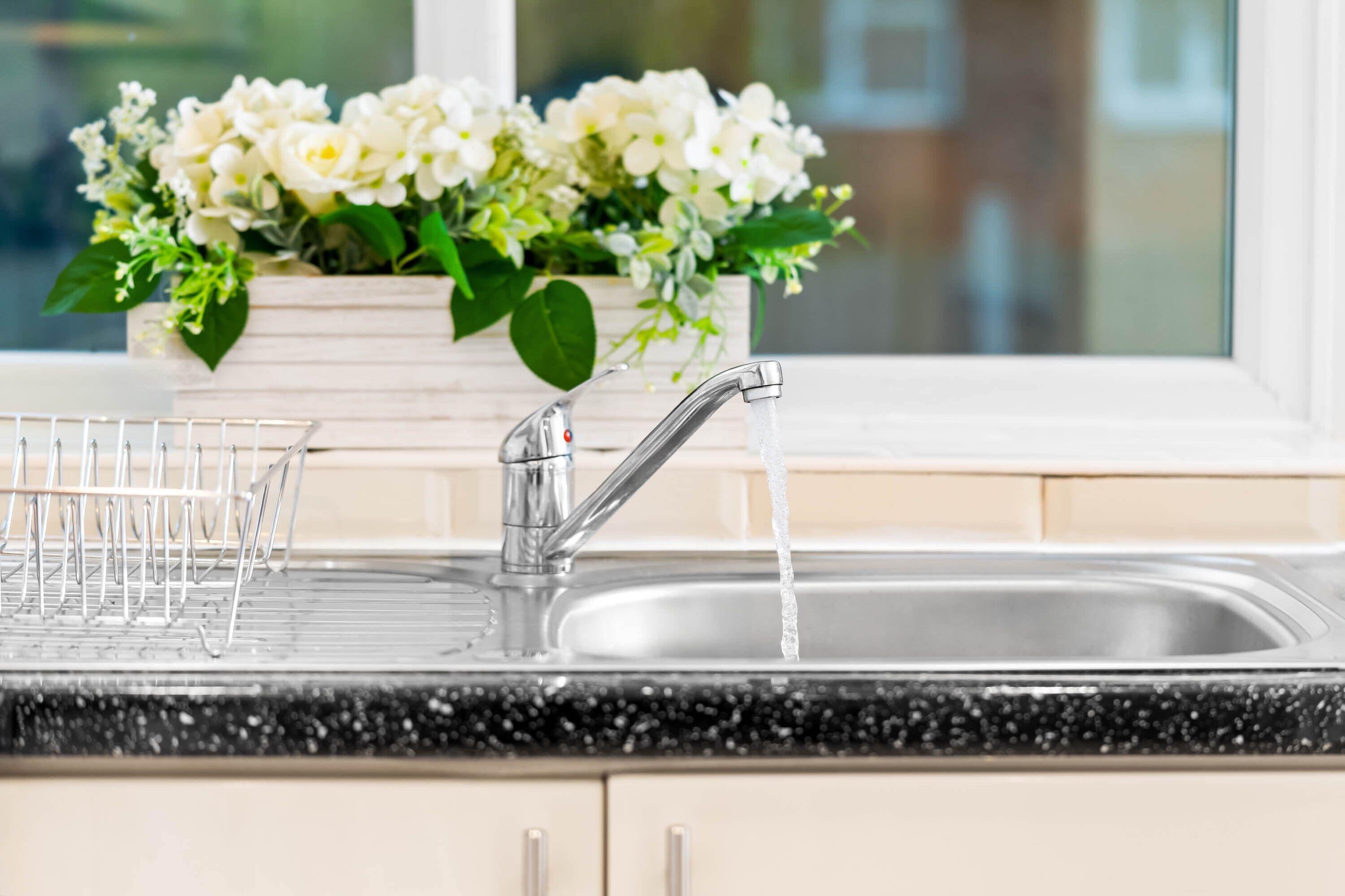 A kitchen with a stainless steel sink, a dish rack, and a potted plant with white flowers.