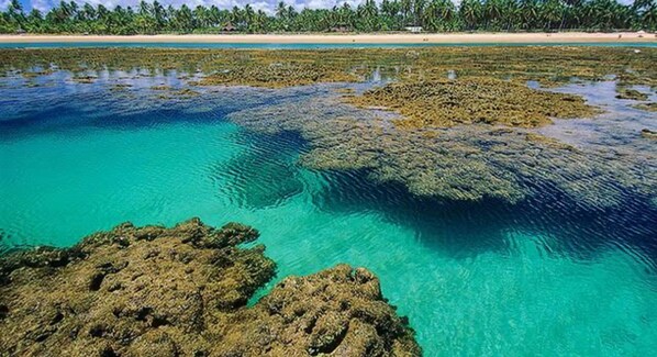 On the beach, white sand - Carpe Diem Suítes (Maraú)