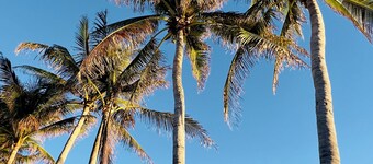 CORNISH SUITE @ Inn on Fleming ADULTS ONLY 3rd Floor 2 BR /Shared Heated Pool