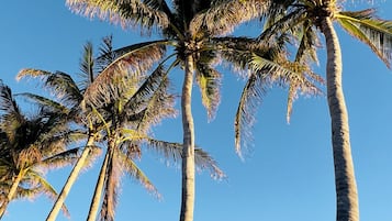 Playa en los alrededores