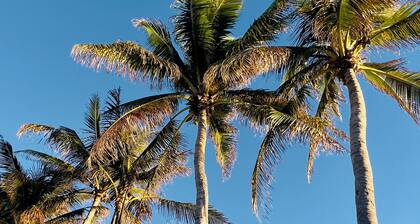 THE FLAGLER ROOM @ Inn on Fleming ~ ADULTS ONLY 1st Floor King & Shared Pool