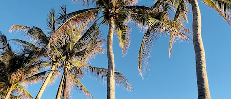 Una playa cerca