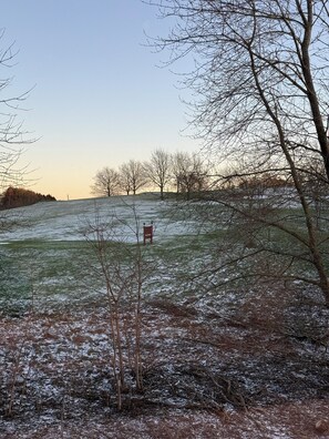 إطلالة الغرفة