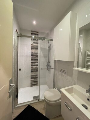 Regadera, secadora de cabello, toallas, papel de baño 