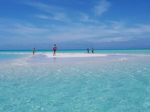 Une plage à l’eau turquoise et limpide, bordée d’un rivage sablonneux.