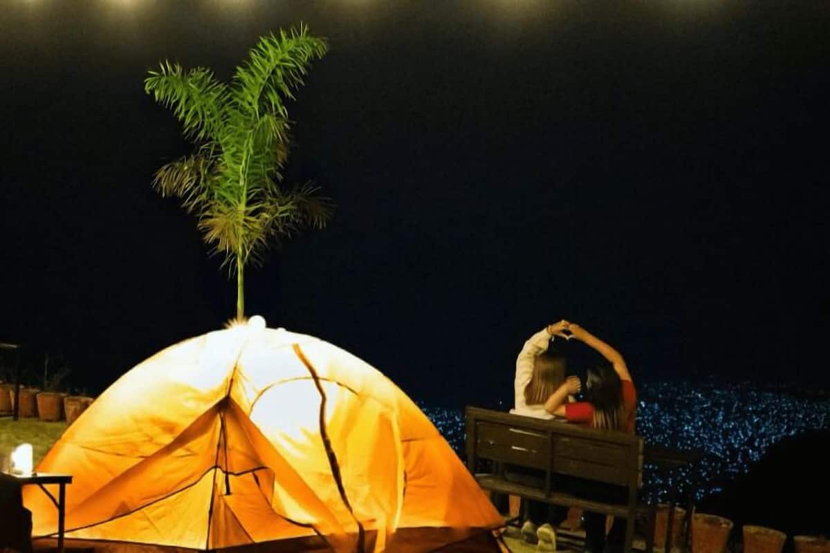 Una tienda de campaña con una palmera de fondo, un banco y una persona sentada en él.