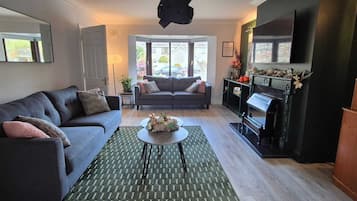 Smart-TV, Kamin