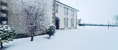 Un edificio cubierto de nieve con un gran árbol en primer plano.