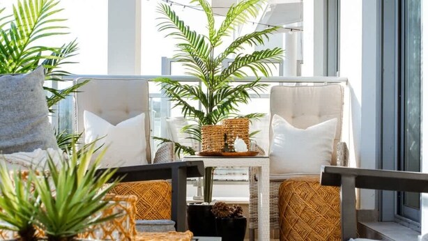 Ein stilvoller Lounge-Bereich mit einer Couch, einem Couchtisch und Topfpflanzen.