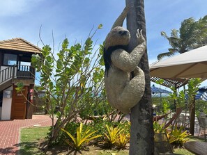 Terrain de l’hébergement 