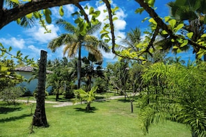 Puutarha