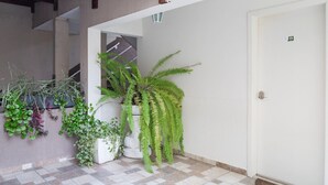 Un hall d’entrée propre et moderne, avec un sol carrelé, une porte blanche et des plantes en pot, dont une grande fougère.