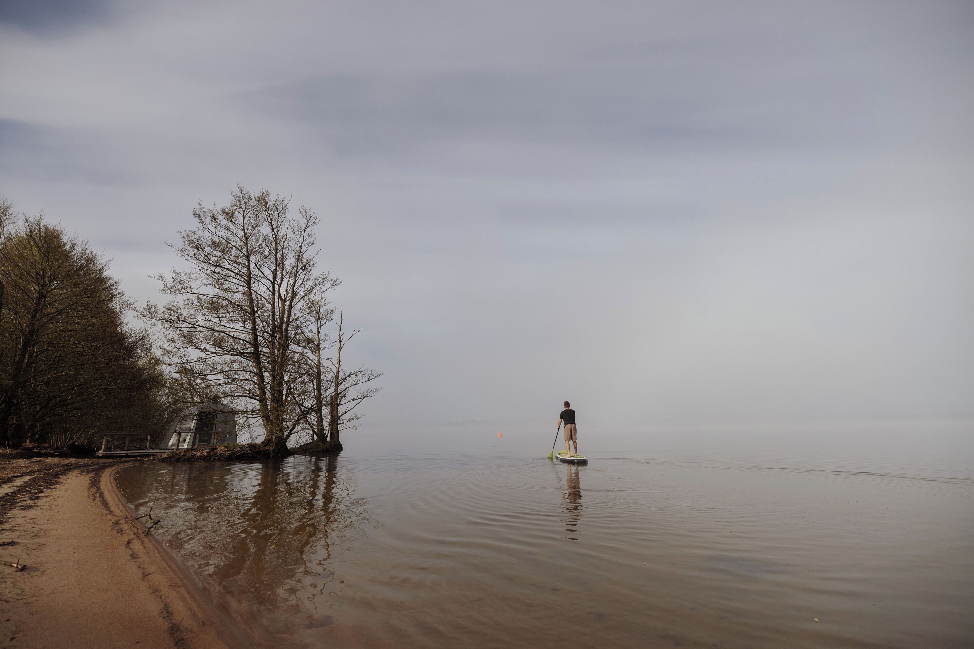 Una persona haciendo paddleboard en aguas tranquilas, con árboles a la izquierda y una orilla arenosa.