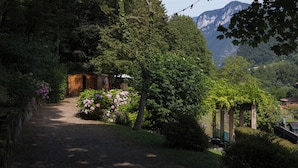 A garden path leading to a wooden cabin surrounded by lush greenery and flowering plants. - CONTRA' CONTARINI (Valbrenta)