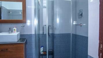 Shower, hair dryer, bidet, towels