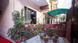 A courtyard with potted plants arranged on metal stands and a red carpet.