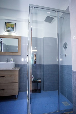 Shower, hair dryer, bidet, towels