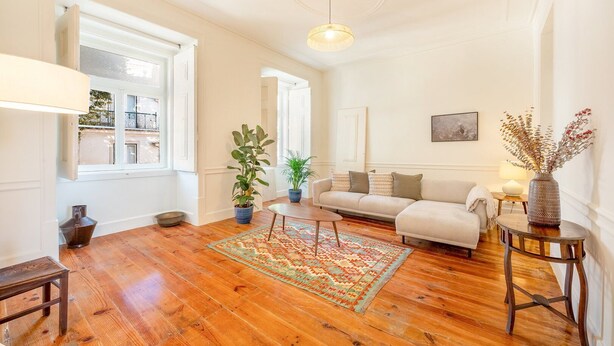 Una sala de estar con piso de madera, un sofá, una mesa de centro y plantas en macetas.