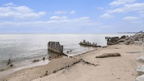 Ein Strand mit Holzpfählen und Felsen.