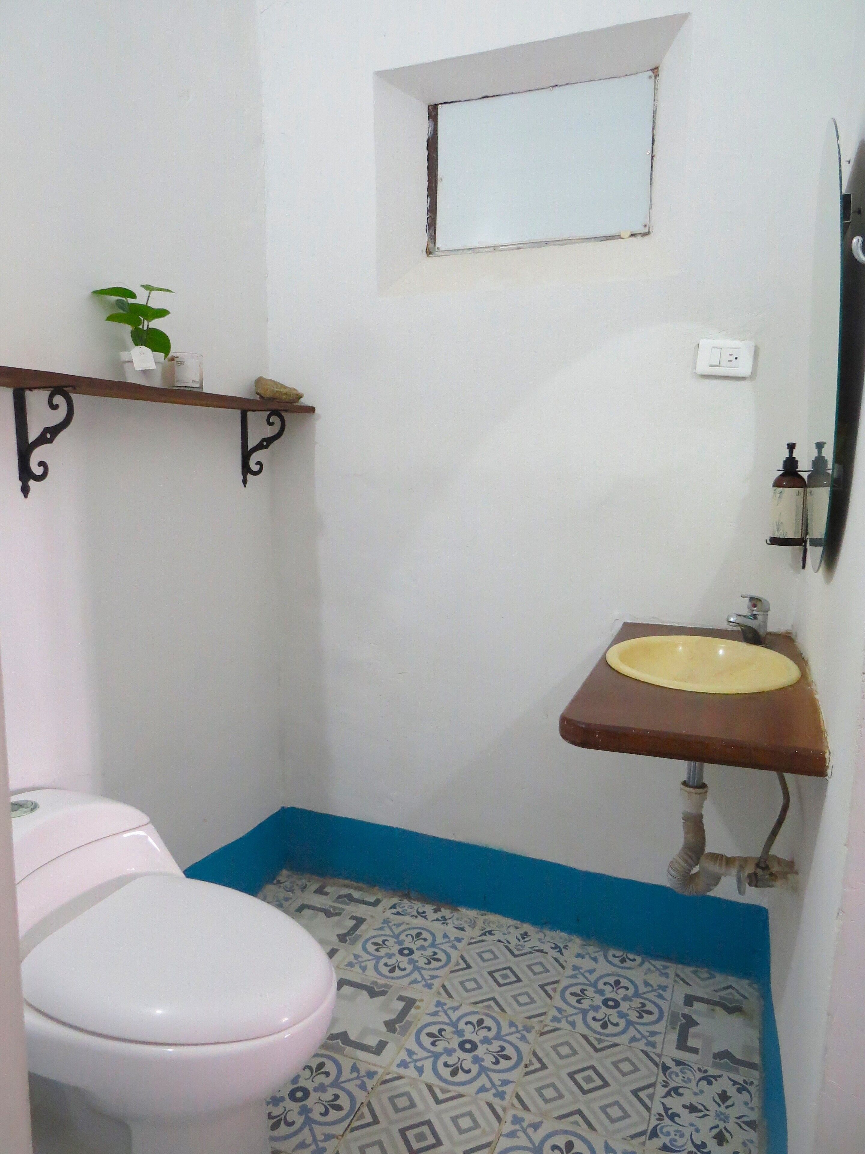 A small bathroom with a toilet, a sink, a mirror, and a shelf with a plant.