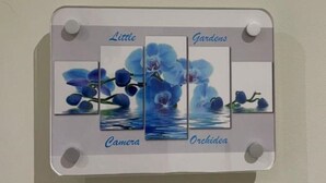 A wall-mounted sign with three sections labeled "Little," "Camera," and "Orchidlea," featuring images of blue flowers.