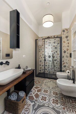 Shower, hair dryer, bidet, towels